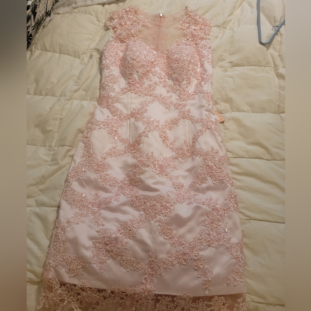 Bead & Lace Pink Dress